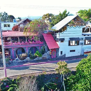 Guest house Lonesome George
